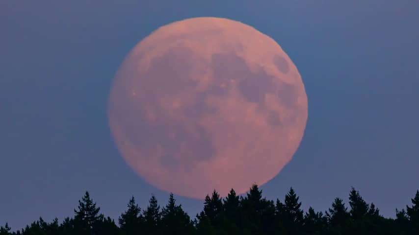 Are you going to look at the blood moon tonight? Share your photos