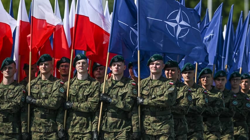 Europe can cope with militarily against Russia: 'NATO is not a gray mouse'
