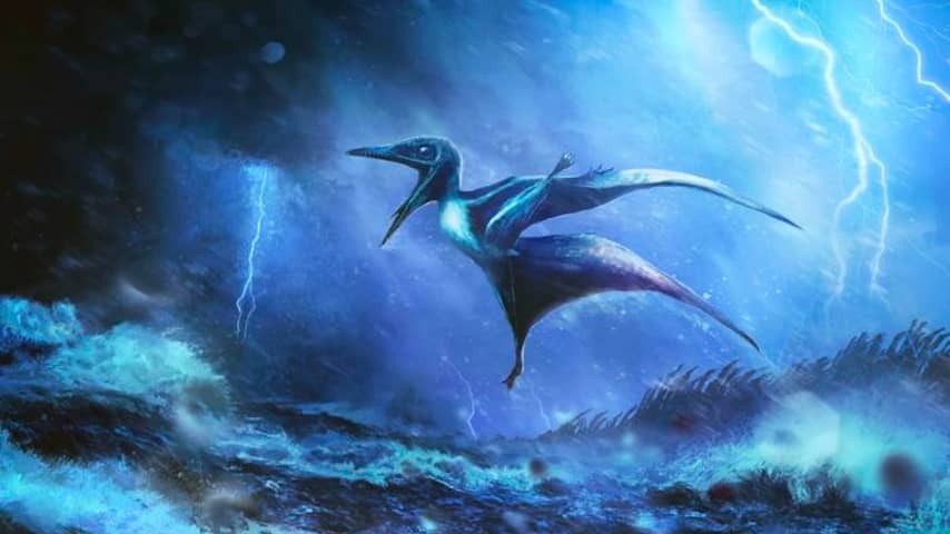 Tropical storm appears to have become flying baby dinos fatal