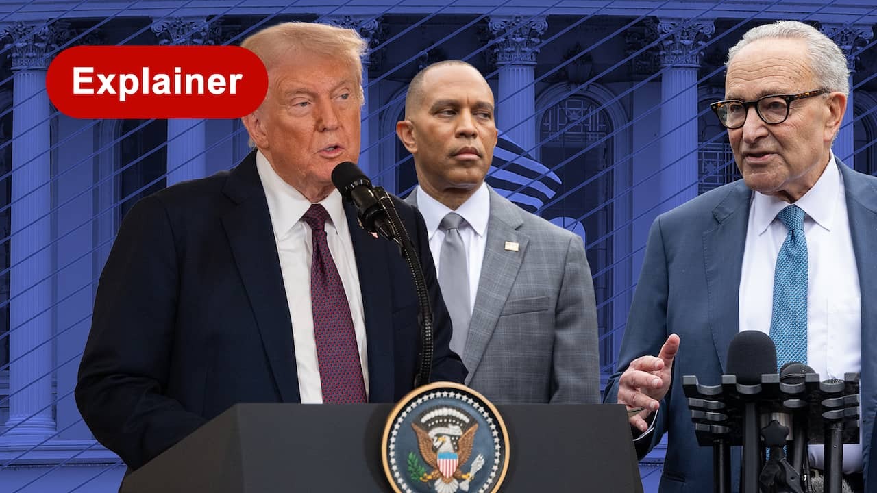 Image from video: Are democrats going for a shutdown? 'They want a real profile'